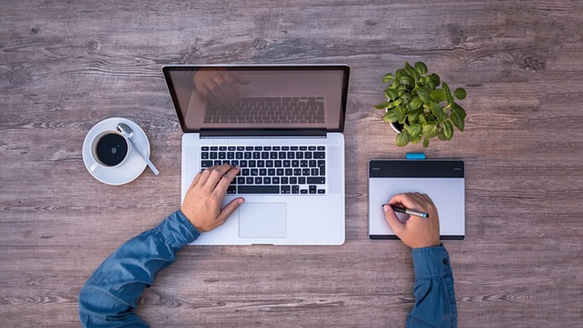 Bluehost affiliate earnings and tactics for US bloggers