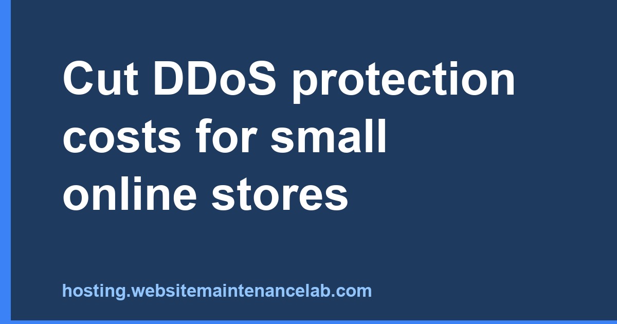 Cut DDoS protection costs for small online stores