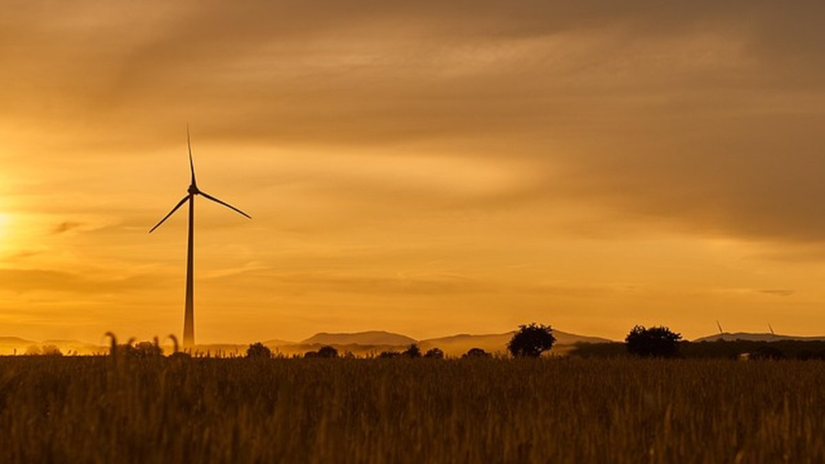 Green & Eco-Friendly Hosting: US Comparison