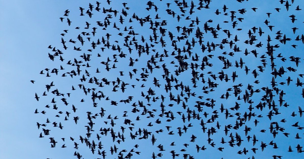 Skipping Load Testing Before a Big Migration: Real Costs & Fixes