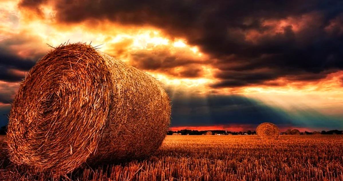 Stop Letting Client Sprawl Raise Hybrid Cloud Costs